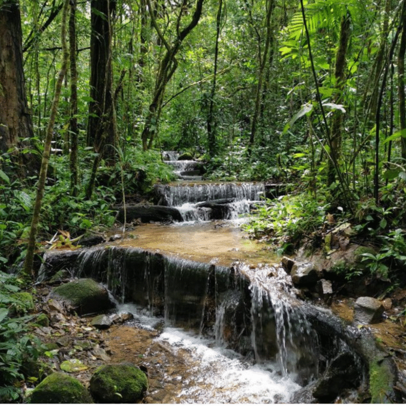 Gigantes Sendero's Tour