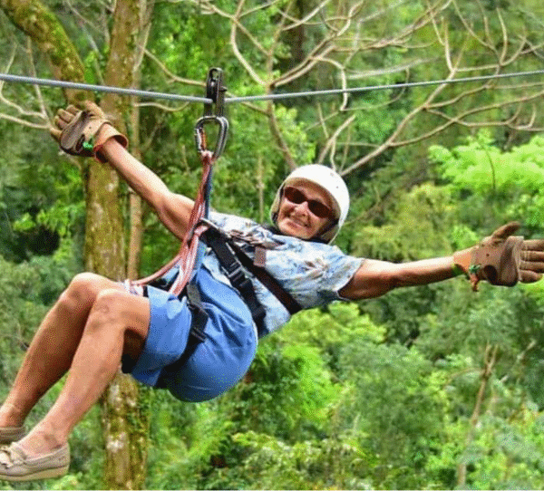Canopy and Handbridge Adventure