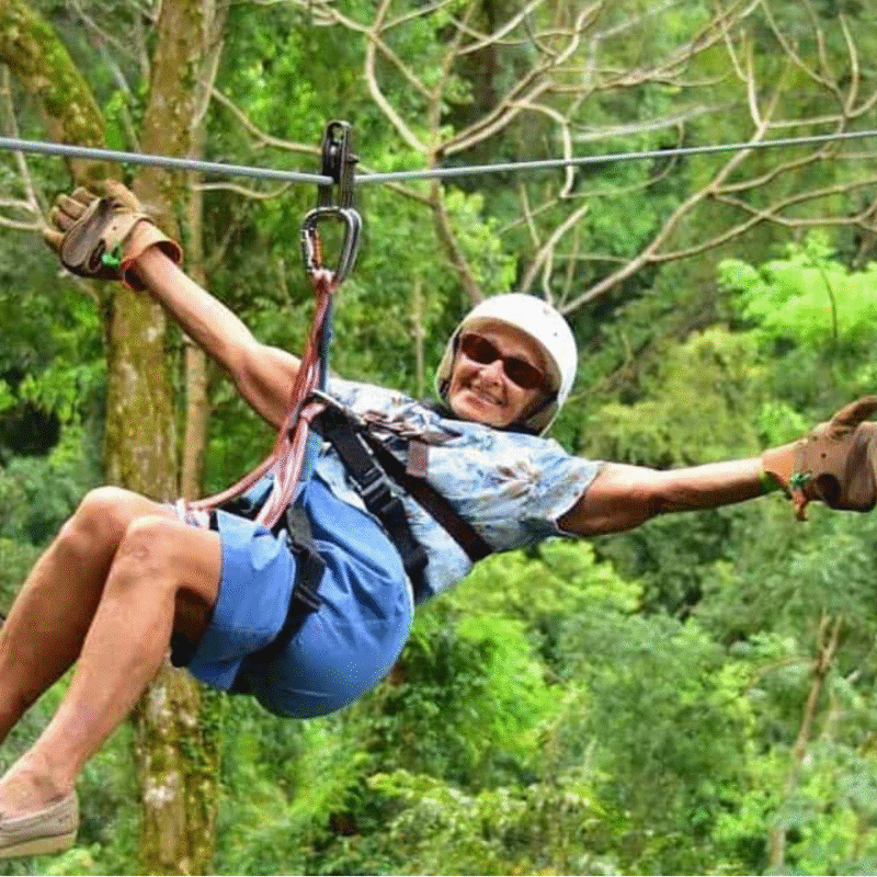 Canopy and Handbridge Adventure