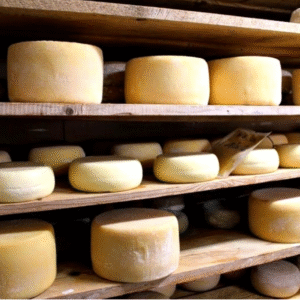 Cheese factory and agro-sustainable farm tour