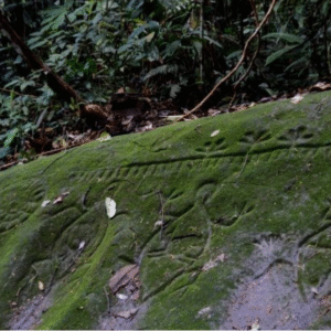 Los Cusingos' bird sanctuary DR. Alexander Skutch