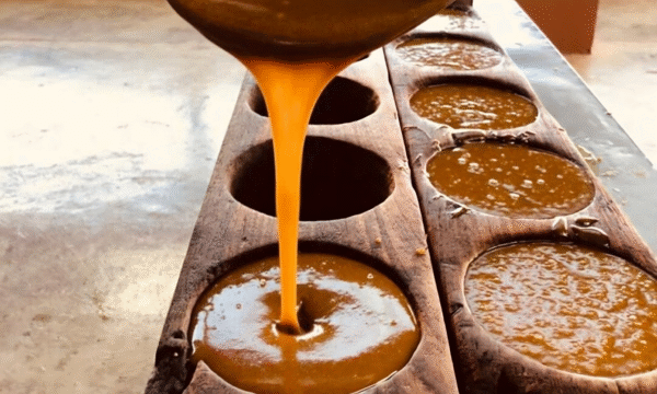 Trapiche Nery: Costa Rican Family Farm