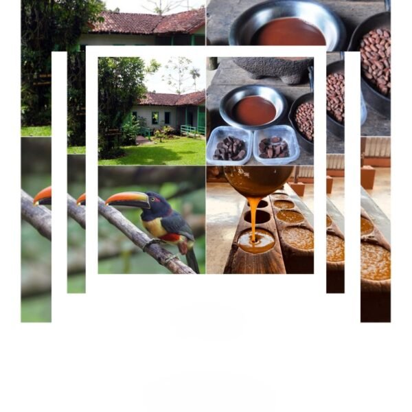COMBO COBAS: Costa Rican Nature & Farm Immersion
